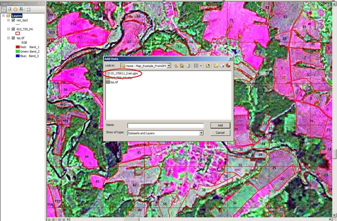 fig17-1949375